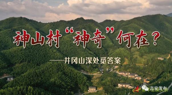 【揭秘】神山村“神”在何處