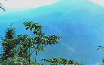桐木嶺戰(zhàn)斗