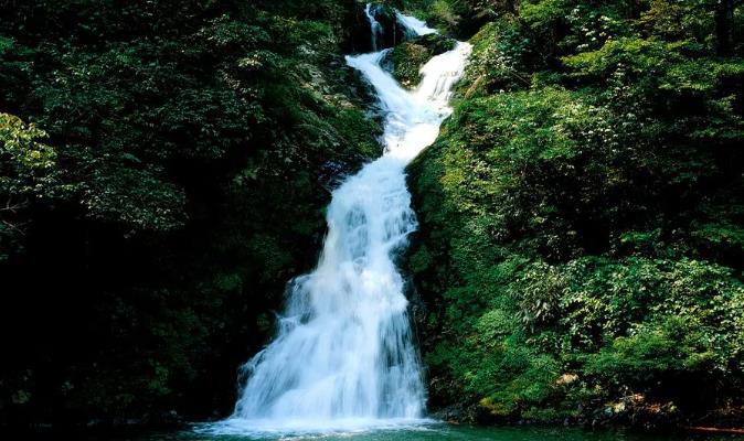 喜訊！井岡山獲評“中國天然氧吧”稱號！