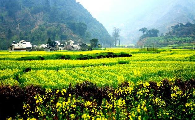 旅行的路上我們?cè)谧非笫裁?？又找到了什么?></a><a href=
