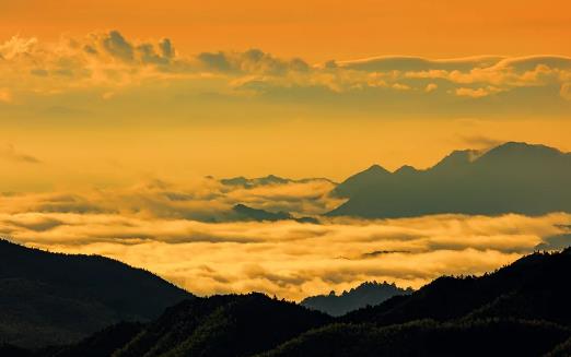 新春井岡山旅游政策