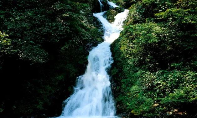 國慶假期井岡山風(fēng)景名勝區(qū)免旅游大門票啦！