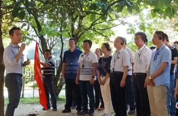 外企員工適應(yīng)井岡山紅色團(tuán)建嗎？ 外企井岡山團(tuán)建指南